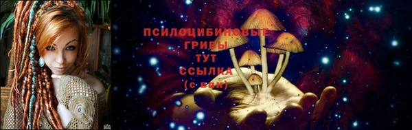 МДПВ Лабытнанги