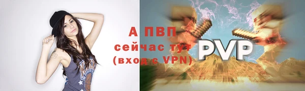 ешки Ладушкин
