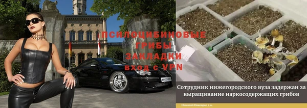 спиды Кукмор