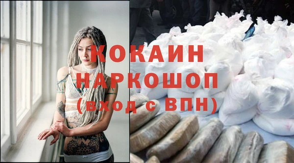 спиды Кукмор