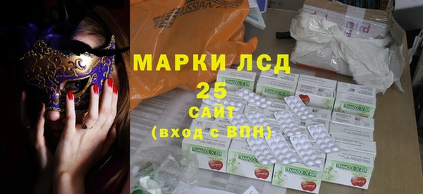 ПСИЛОЦИБИНОВЫЕ ГРИБЫ Кулебаки