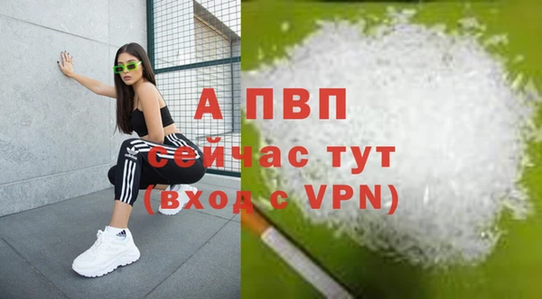 ПСИЛОЦИБИНОВЫЕ ГРИБЫ Кулебаки