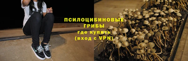 спиды Кукмор