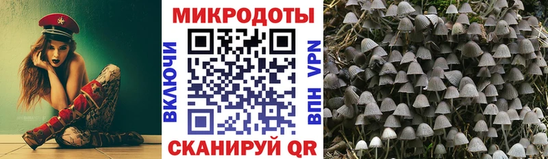 Псилоцибиновые грибы MAGIC MUSHROOMS  что такое   Муравленко 